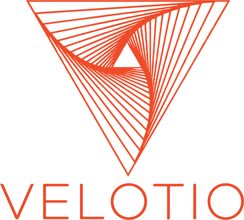 Steinn Labs Clients - Velotio